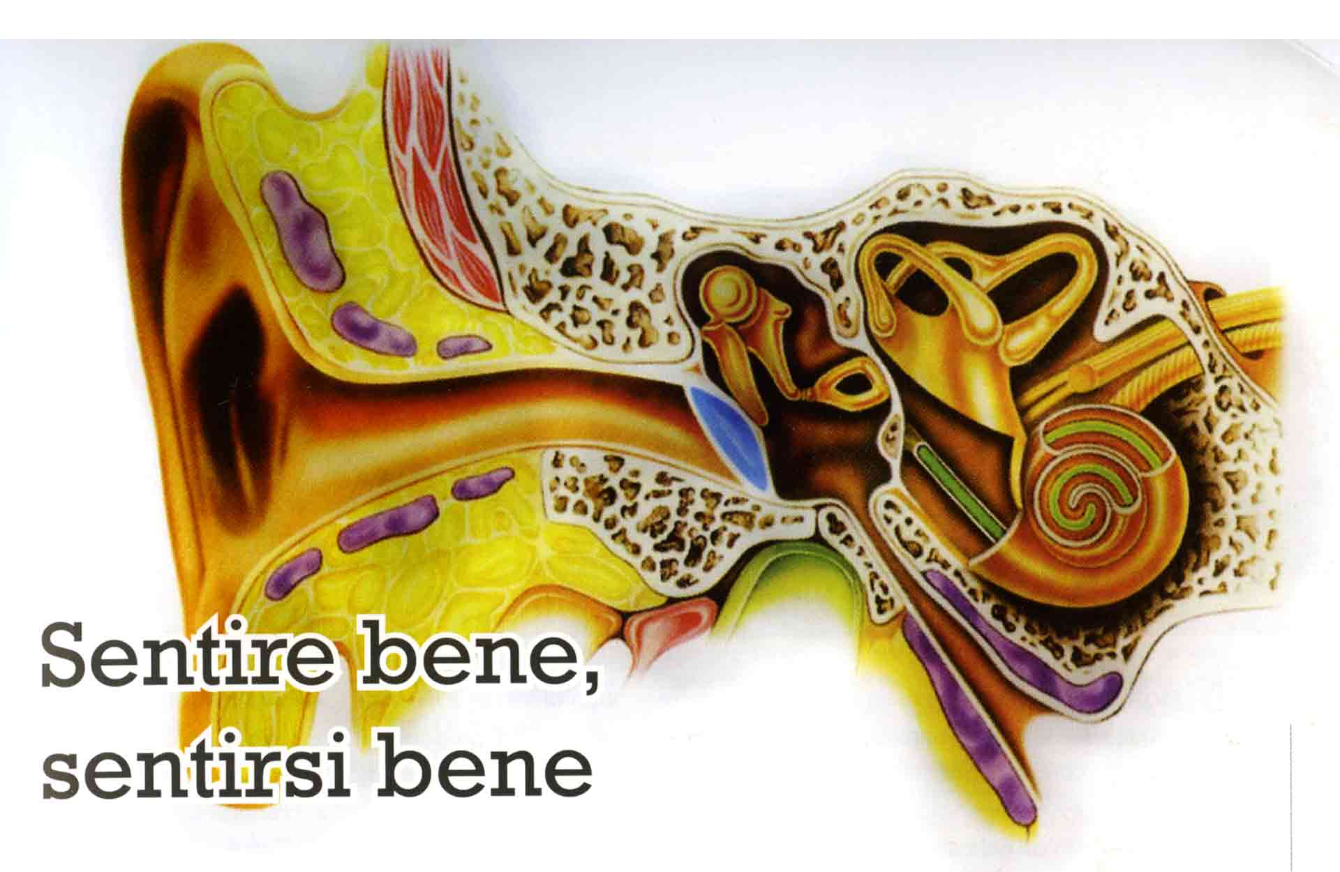 Immagine dell'articolo Sentire bene sentirsi bene
